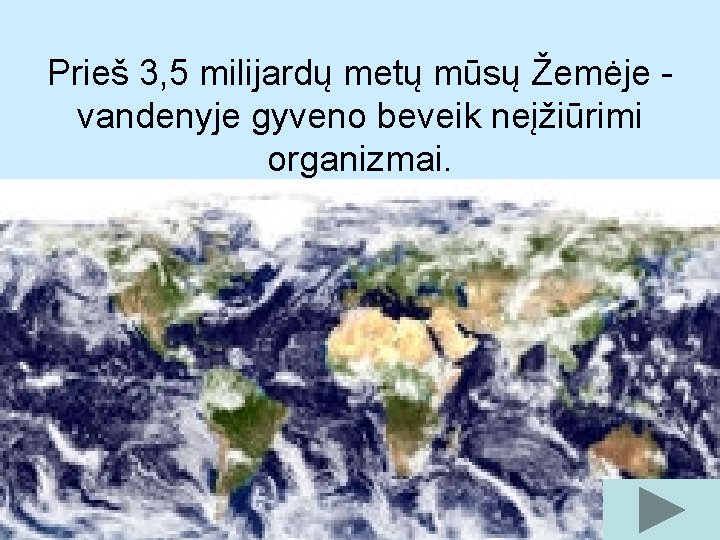 Prieš 3, 5 milijardų metų mūsų Žemėje vandenyje gyveno beveik neįžiūrimi organizmai. 
