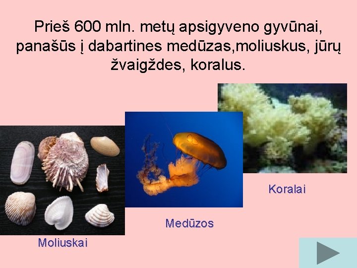 Prieš 600 mln. metų apsigyveno gyvūnai, panašūs į dabartines medūzas, moliuskus, jūrų žvaigždes, koralus.