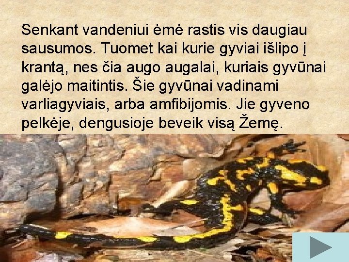 Senkant vandeniui ėmė rastis vis daugiau sausumos. Tuomet kai kurie gyviai išlipo į krantą,