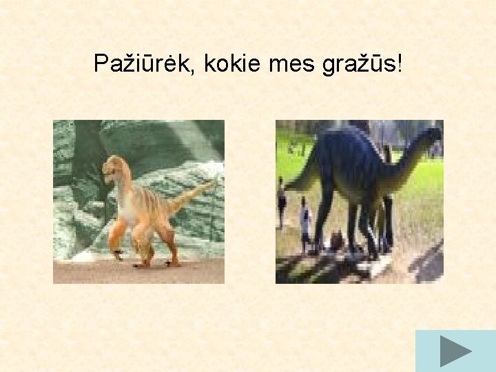 Pažiūrėk, kokie mes gražūs! 