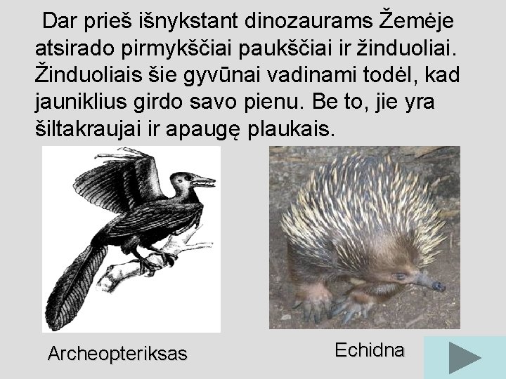 Dar prieš išnykstant dinozaurams Žemėje atsirado pirmykščiai paukščiai ir žinduoliai. Žinduoliais šie gyvūnai vadinami