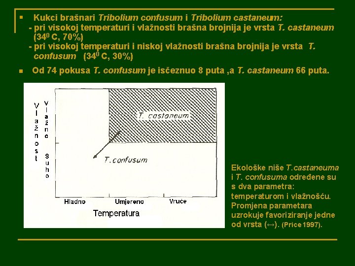 § Kukci brašnari Tribolium confusum i Tribolium castaneum: - pri visokoj temperaturi i vlažnosti