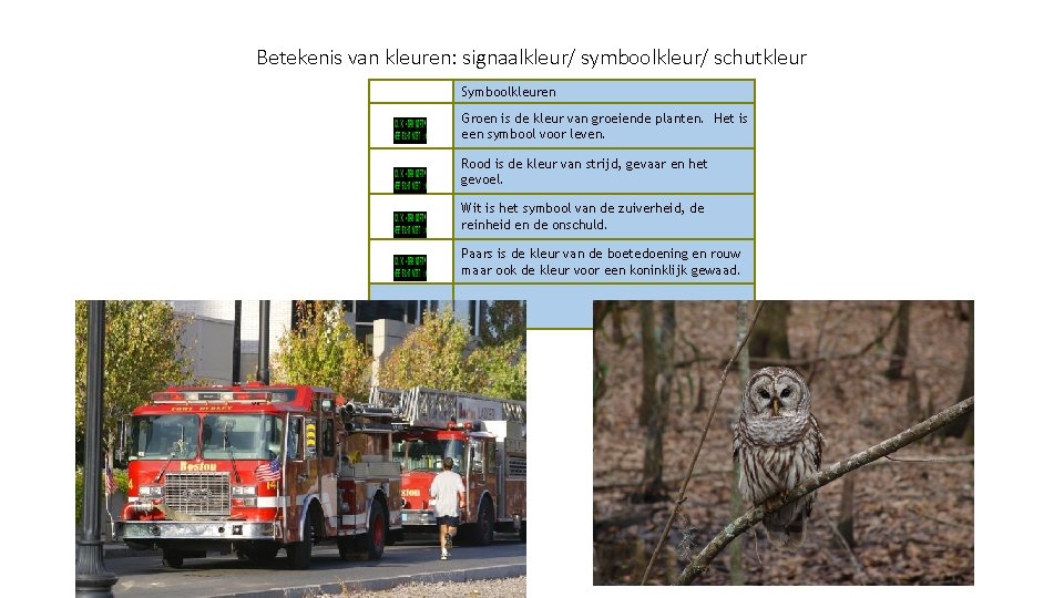 Betekenis van kleuren: signaalkleur/ symboolkleur/ schutkleur Symboolkleuren Groen is de kleur van groeiende planten.