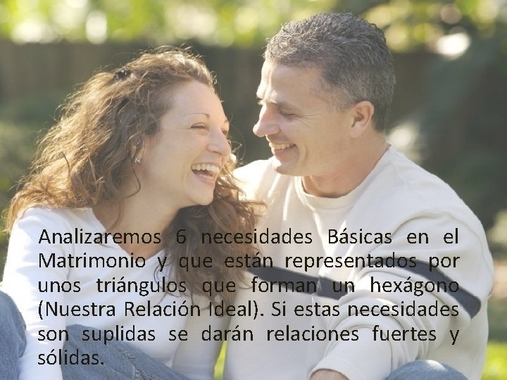 Analizaremos 6 necesidades Básicas en el Matrimonio y que están representados por unos triángulos Analizaremos 6 necesidades Básicas en el Matrimonio y que están representados por unos triángulos