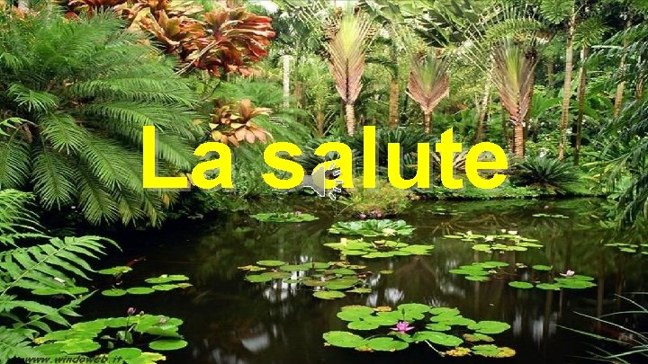 La salute 