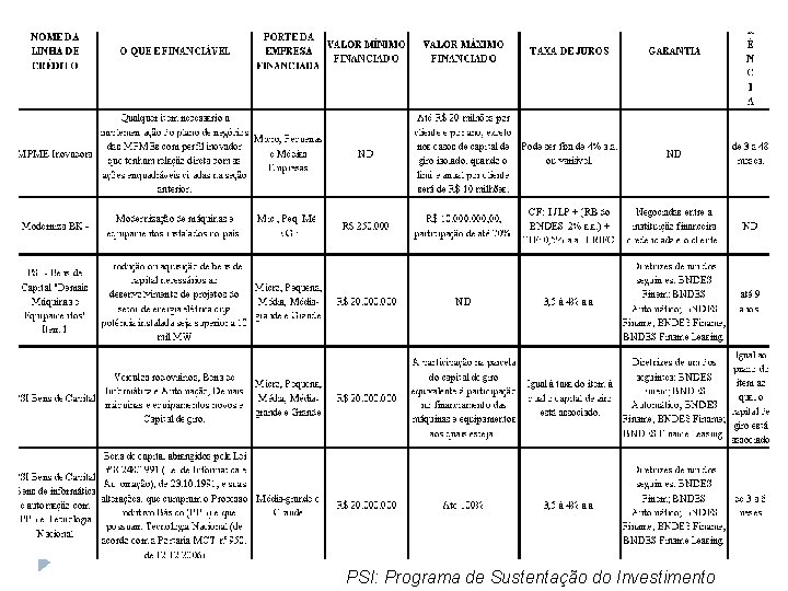 PSI: Programa de Sustentação do Investimento 