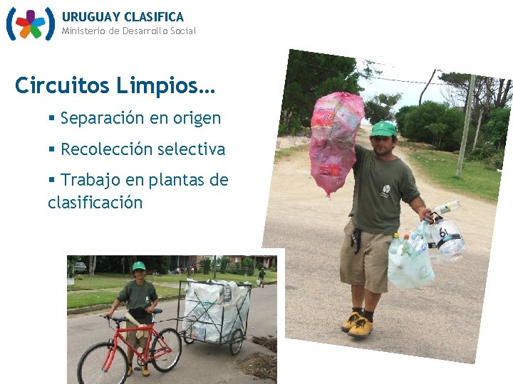 URUGUAY CLASIFICA Ministerio de Desarrollo Social Circuitos Limpios… § Separación en origen § Recolección
