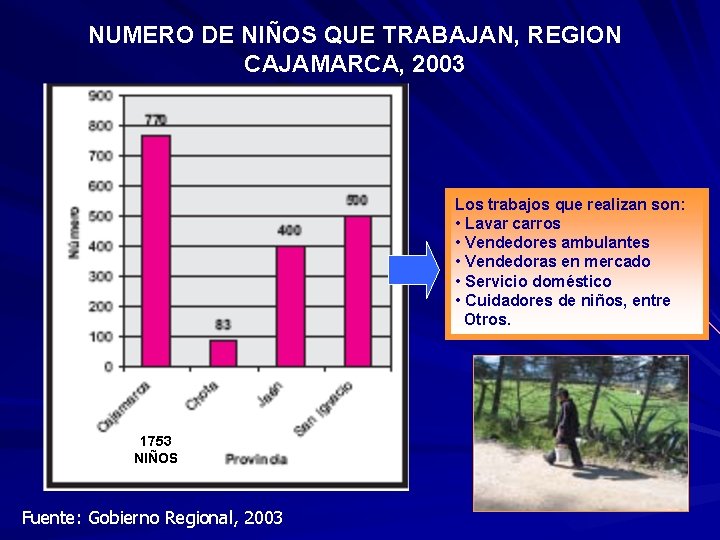 NUMERO DE NIÑOS QUE TRABAJAN, REGION CAJAMARCA, 2003 Los trabajos que realizan son: •