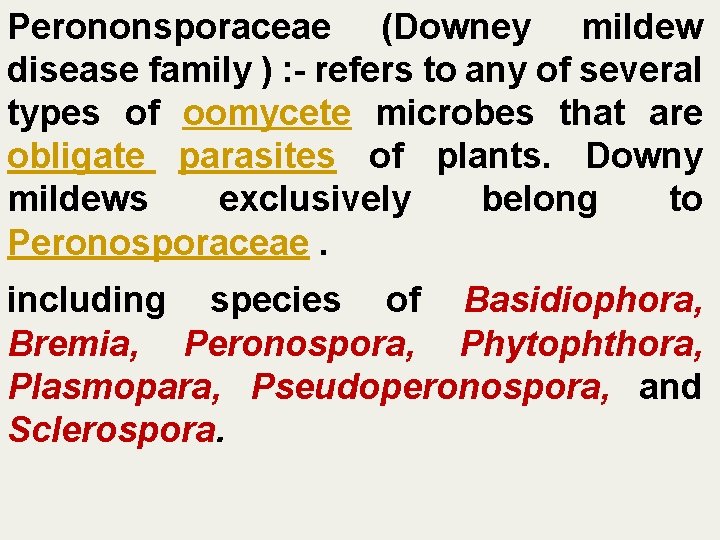 Perononsporaceae (Downey mildew disease family ) : - refers to any of several types