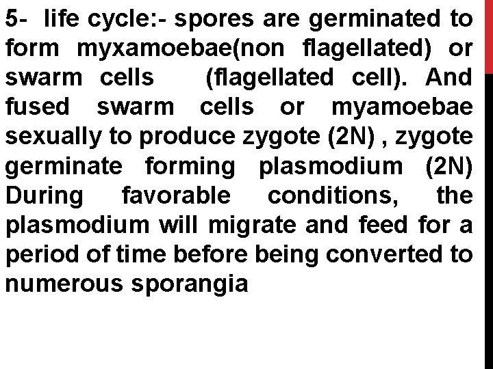 5 - life cycle: - spores are germinated to form myxamoebae(non flagellated) or swarm