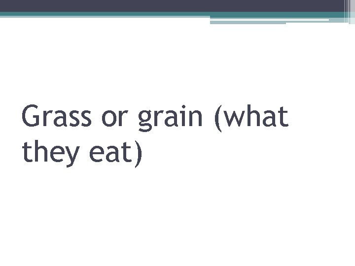 Grass or grain (what they eat) 