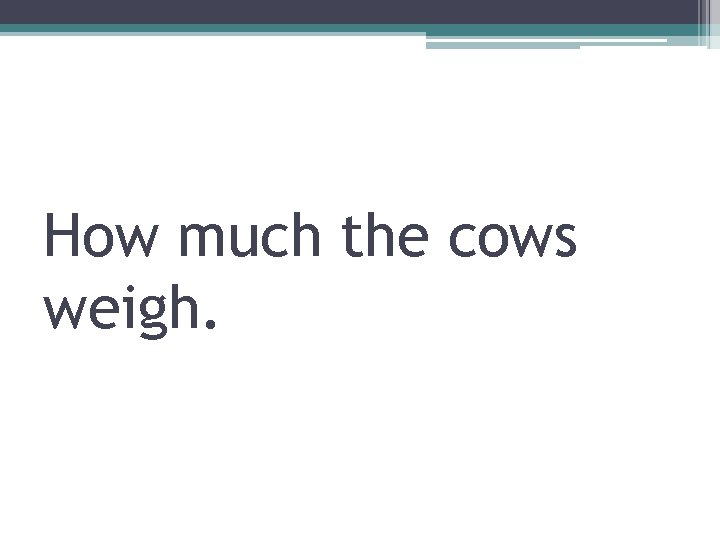 How much the cows weigh. 