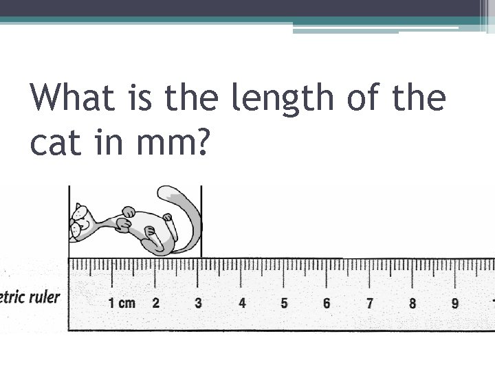 What is the length of the cat in mm? 