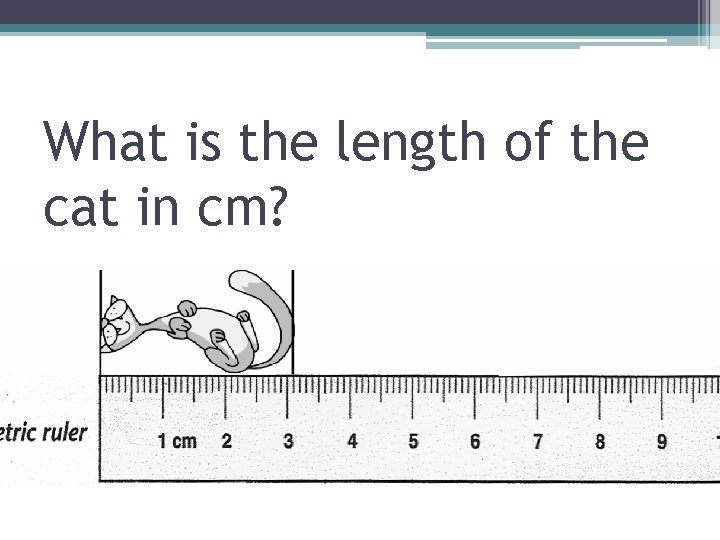 What is the length of the cat in cm? 