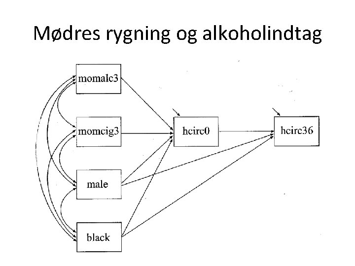 Mødres rygning og alkoholindtag 