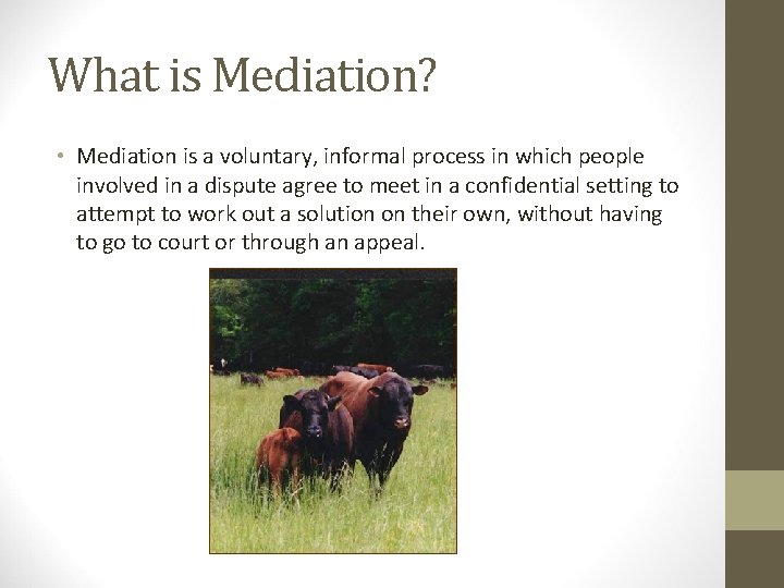 What is Mediation? • Mediation is a voluntary, informal process in which people involved