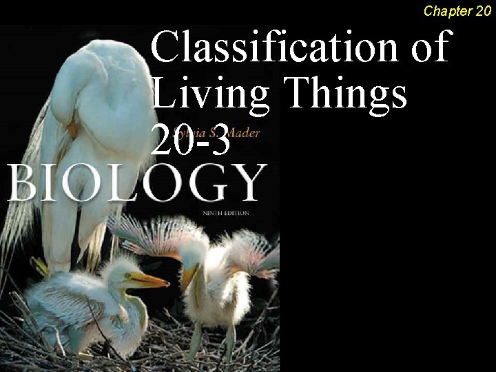 Chapter 20 Classification of Living Things 20 -3 