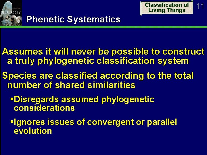 Classification of Living Things 11 Phenetic Systematics Assumes it will never be possible to