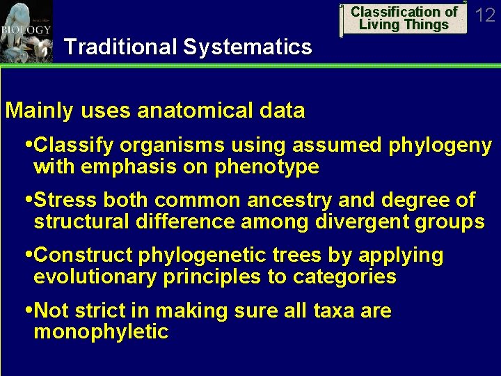 Classification of Living Things 12 Traditional Systematics Mainly uses anatomical data Classify organisms using