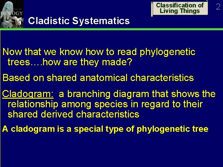 Classification of Living Things 2 Cladistic Systematics Now that we know how to read