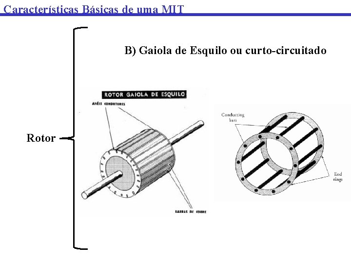 Características Básicas de uma MIT B) Gaiola de Esquilo ou curto-circuitado Rotor 