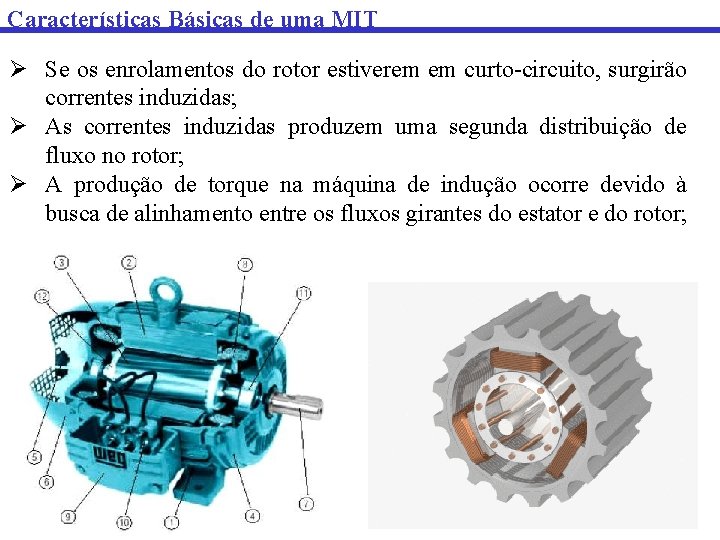 Características Básicas de uma MIT Ø Se os enrolamentos do rotor estiverem em curto-circuito,