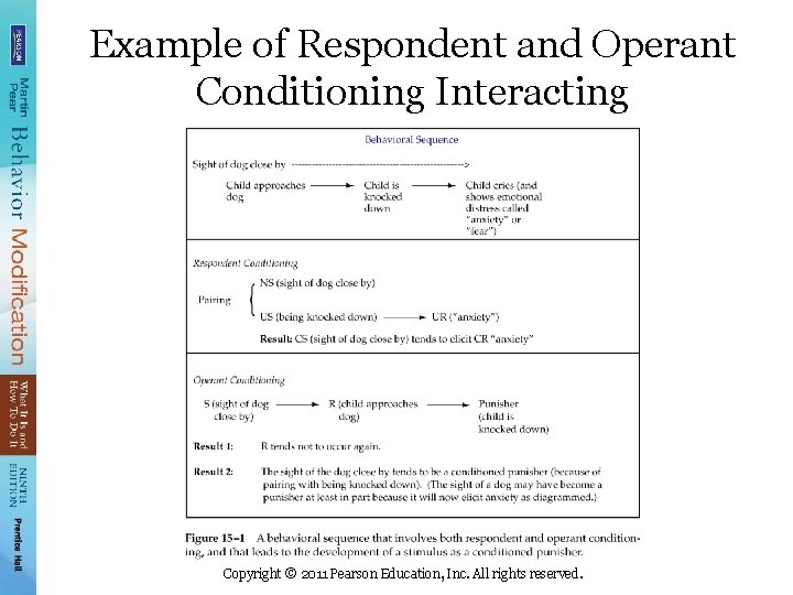 Example of Respondent and Operant Conditioning Interacting Copyright © 2011 Pearson Education, Inc. All