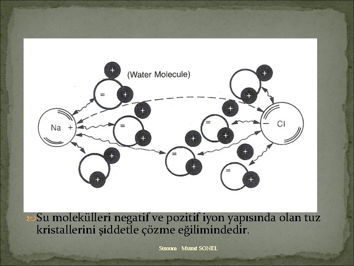 Suyun Hidratasyonu Su molekülleri negatif ve pozitif iyon yapısında olan tuz kristallerini şiddetle çözme