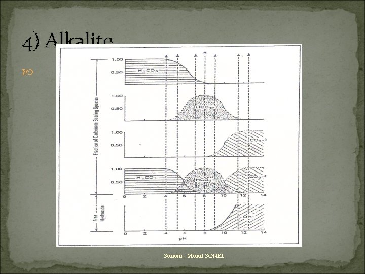 4) Alkalite Sunum : Murat SONEL 