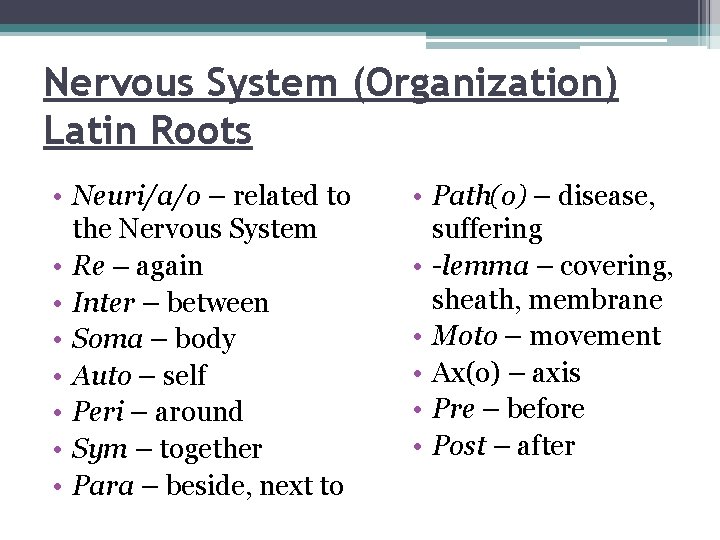 Nervous System (Organization) Latin Roots • Neuri/a/o – related to the Nervous System •