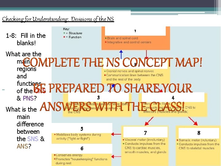 Checking for Understanding: Divisions of the NS 1 1 -8: Fill in the blanks!