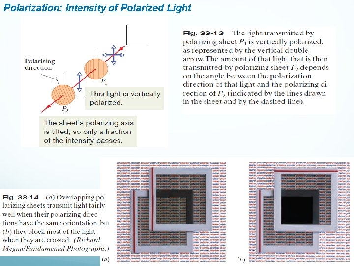 Polarization: Intensity of Polarized Light 