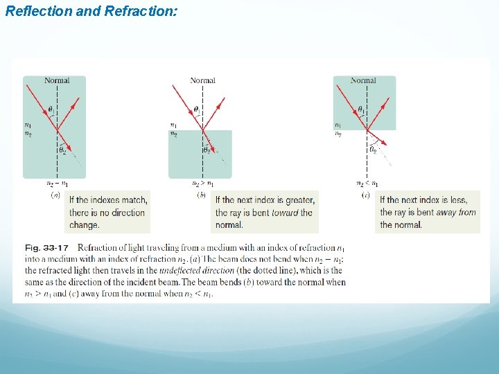 Reflection and Refraction: 