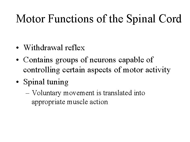 Motor Functions of the Spinal Cord • Withdrawal reflex • Contains groups of neurons