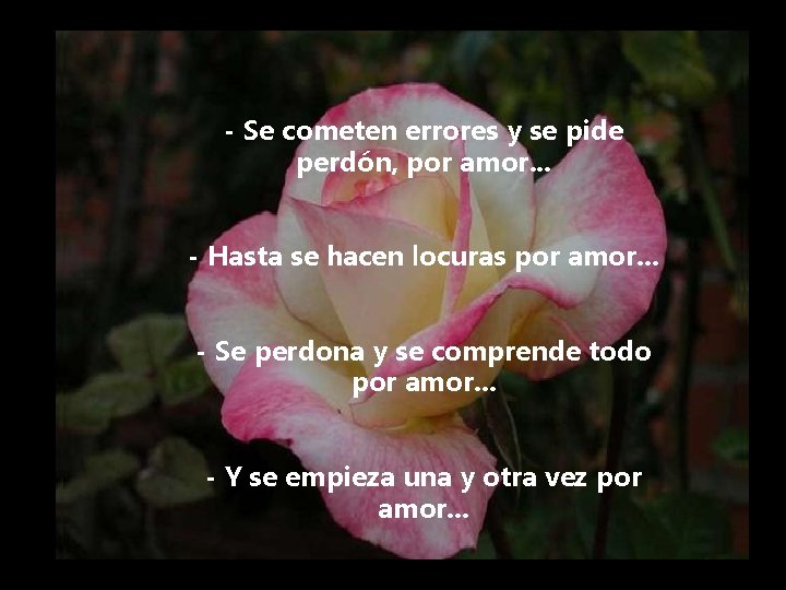 - Se cometen errores y se pide perdón, por amor. . . - Hasta