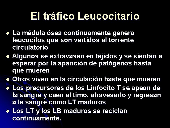 El tráfico Leucocitario l l l La médula ósea continuamente genera leucocitos que son