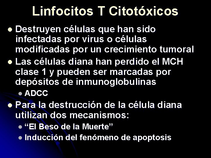 Linfocitos T Citotóxicos Destruyen células que han sido infectadas por virus o células modificadas