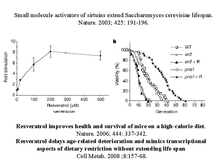 Small molecule activators of sirtuins extend Saccharomyces cerevisiae lifespan. Nature. 2003; 425: 191 -196.