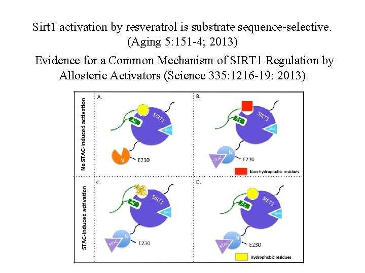 Sirt 1 activation by resveratrol is substrate sequence-selective. (Aging 5: 151 -4; 2013) Evidence