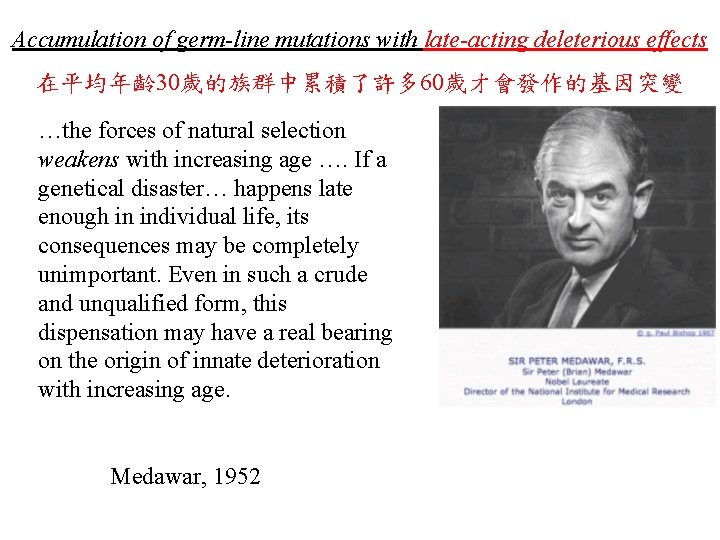 Accumulation of germ-line mutations with late-acting deleterious effects 在平均年齡 30歲的族群中累積了許多 60歲才會發作的基因突變 …the forces of