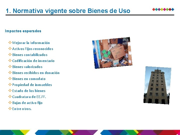 1. Normativa vigente sobre Bienes de Uso Impactos esperados v Mejorar la Información v