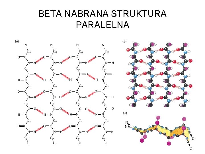 BETA NABRANA STRUKTURA PARALELNA 