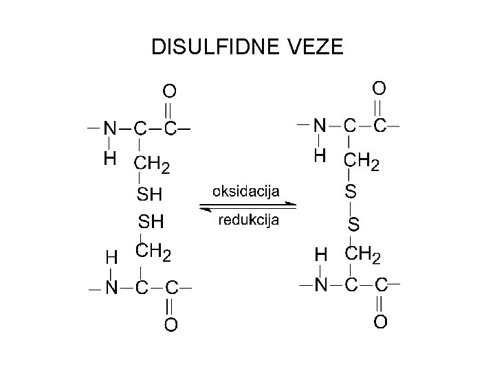 DISULFIDNE VEZE 