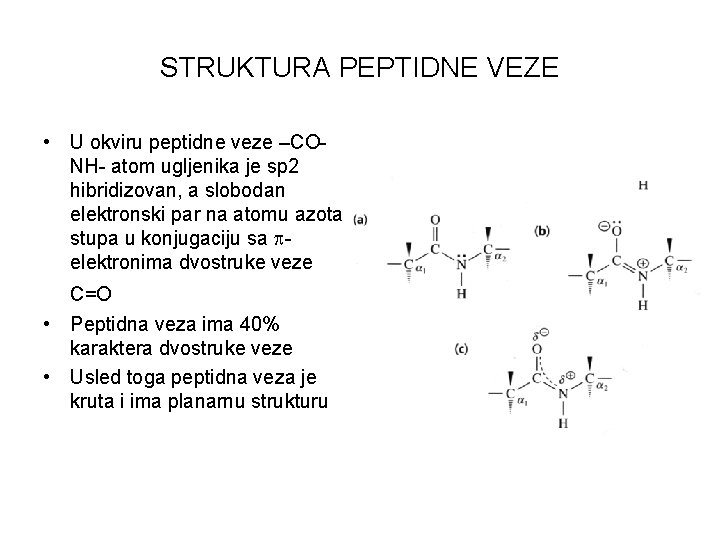 STRUKTURA PEPTIDNE VEZE • U okviru peptidne veze –CONH- atom ugljenika je sp 2