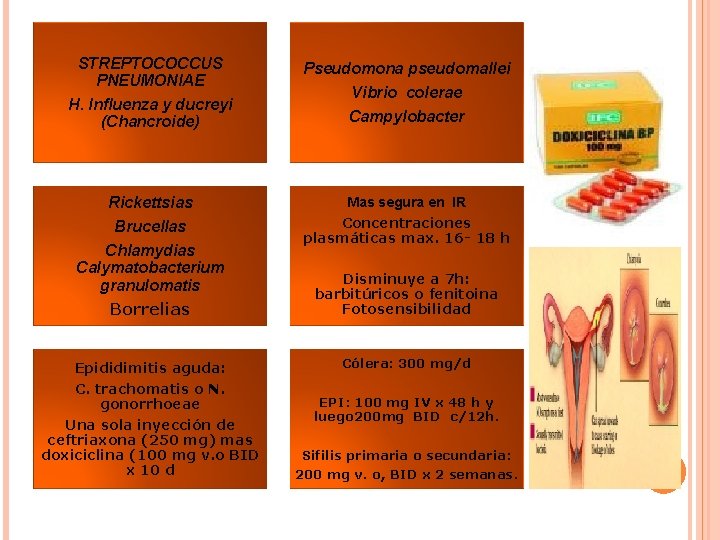 STREPTOCOCCUS PNEUMONIAE H. Influenza y ducreyi (Chancroide) Pseudomona pseudomallei Vibrio colerae Campylobacter Rickettsias Mas