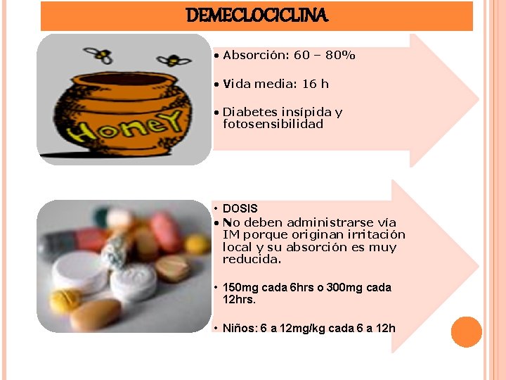 DEMECLOCICLINA • Absorción: 60 – 80% • Vida media: 16 h • Diabetes insípida