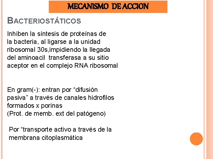 MECANISMO DE ACCION BACTERIOSTÁTICOS Inhiben la síntesis de proteínas de la bacteria, al ligarse