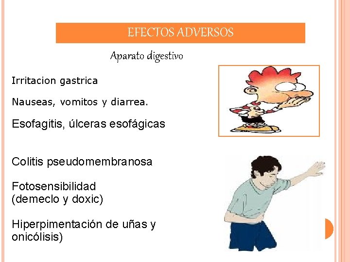 EFECTOS ADVERSOS Aparato digestivo Irritacion gastrica Nauseas, vomitos y diarrea. Esofagitis, úlceras esofágicas Colitis