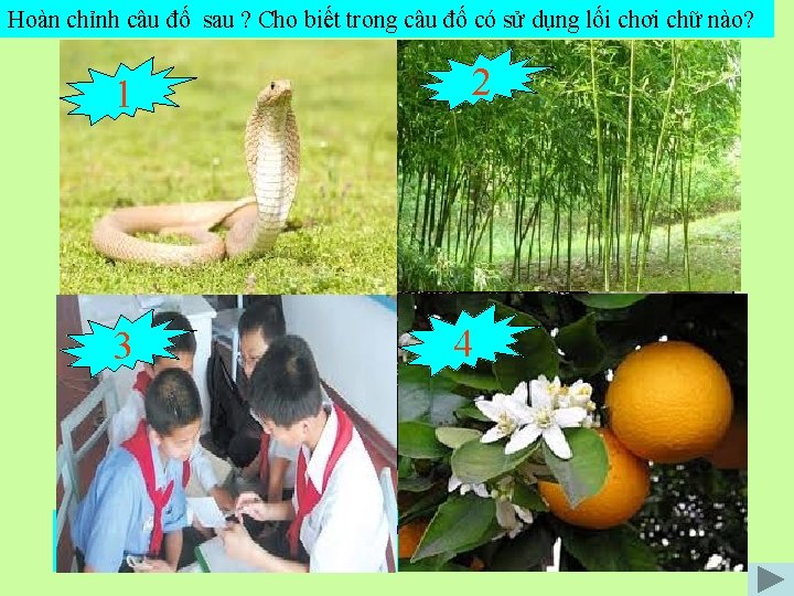 Hoàn chỉnh câu đố sau ? Cho biết trong câu đố có sử dụng