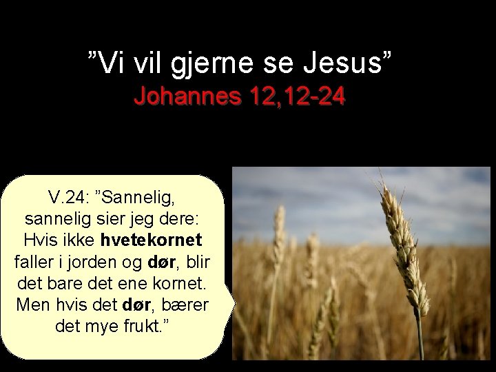 ”Vi vil gjerne se Jesus” Johannes 12, 12 -24 V. 24: ”Sannelig, sannelig sier